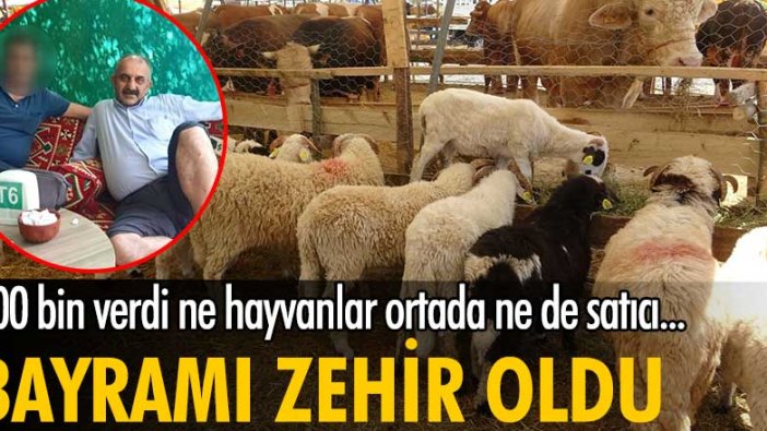 Hayvan satın almak isteyen Selim Demirel dolandırıldı!