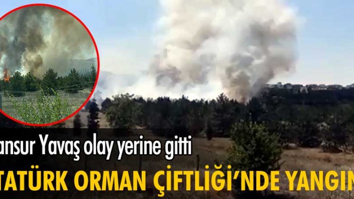 Ankara'da Atatürk Orman Çiftliği'nde yangın!