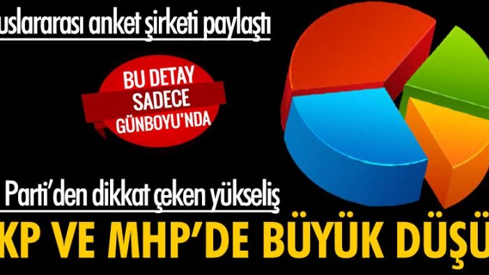 Uluslararası anket şirketi paylaştı: İYİ Parti'den dikkat çeken yükseliş... Cumhur İttifakı'nda büyük erime