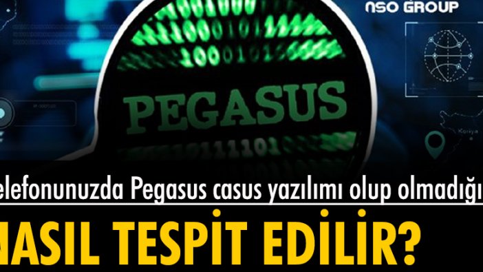 Telefonda Pegasus casus yazılımı olup olmadığı nasıl tespit edilir?