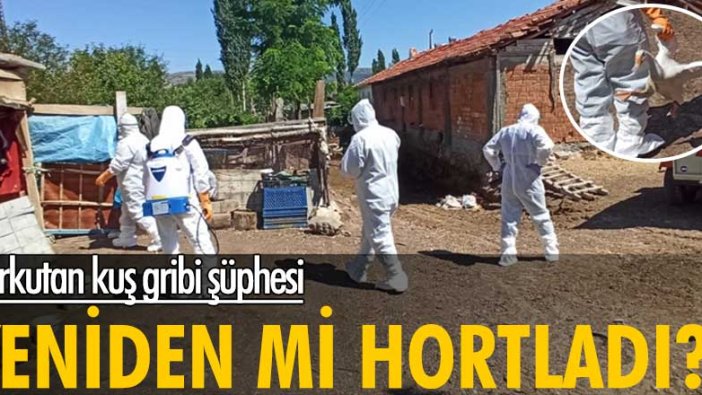 Yeniden mi hortladı? Tokat'ta korkutan kuş gribi şüphesi