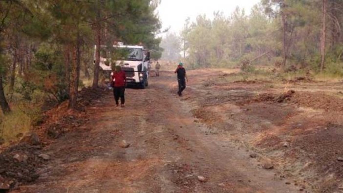 Kilis'teki orman yangını kontrol altına alındı