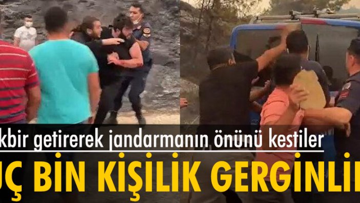 Manavgat'ta 'ormanı yaktılar' infiali: Öfkeli grup iki kişiye saldırdı