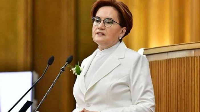 Meral Akşener, yangınlardan dolayı programını iptal etti