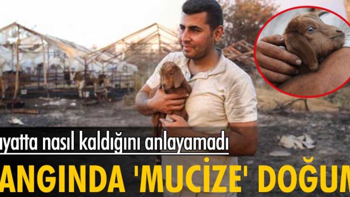 Hayatta nasıl kaldığını anlayamadı! Yangında 'mucize' doğum