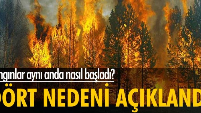 Yangınlar aynı anda nasıl başladı? Uzmanlardan dört neden