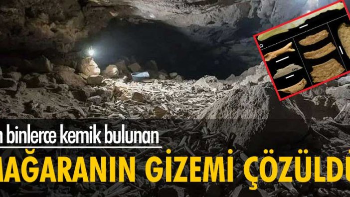 On binlerce kemik bulunan mağaranın gizemi çözüldü!