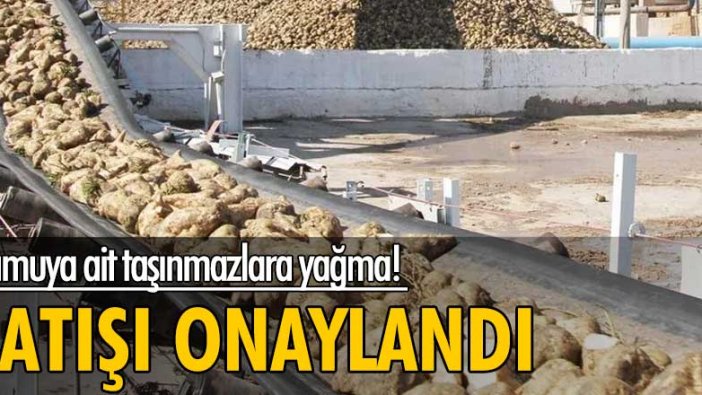 Kamuya ait taşınmazlara yağma! Satışı onaylandı