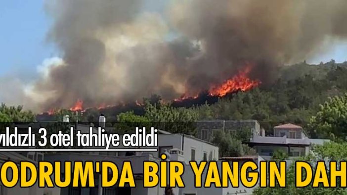 5 yıldızlı 3 otel tahliye edildi! Bodrum'da bir yangın daha