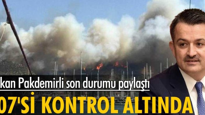 Bakan Pakdemirli son durumu paylaştı! 107'si kontrol altında