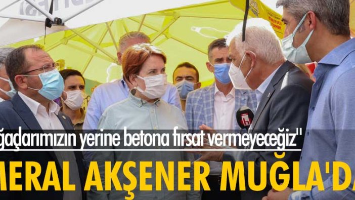 İYİ Parti lideri Meral Akşener Muğla'da: Ağaçlarımızın yerine betona fırsat vermeyeceğiz