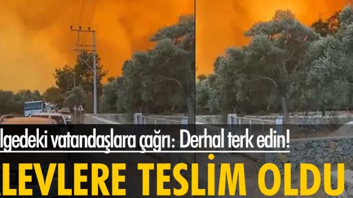 Çökertme koyu alevlere teslim oldu... Bölgedeki vatandaşlara çağrı: Derhal terk edin!