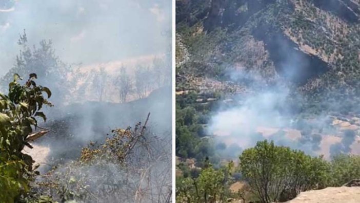 Elazığ'da orman yangını