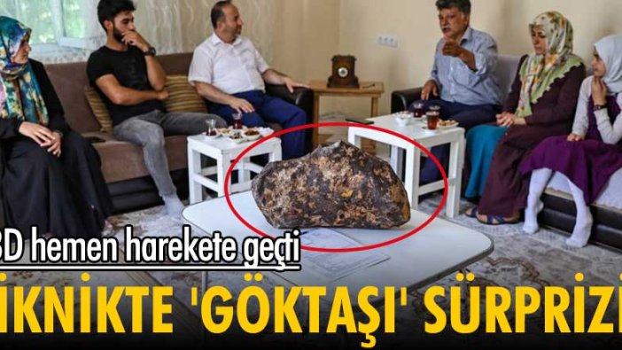 ABD hemen harekete geçti! Piknikte 'göktaşı' sürprizi