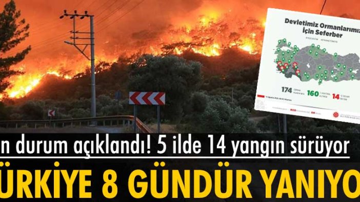 Türkiye'deki 8 günlük yangın bilançosu açıklandı