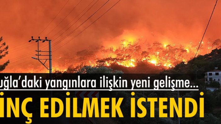 Muğla'daki yangınlara ilişkin yeni gelişme...