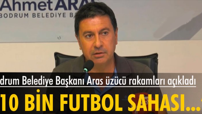 Bodrum Belediye Başkanı Aras: 10 Bin futbol sahası büyüklüğünde alan yandı