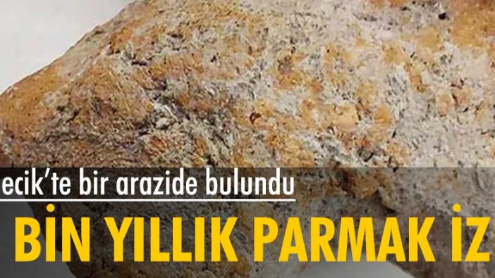 9 bin yıllık parmak izi Bilecik'te bir arazide bulundu