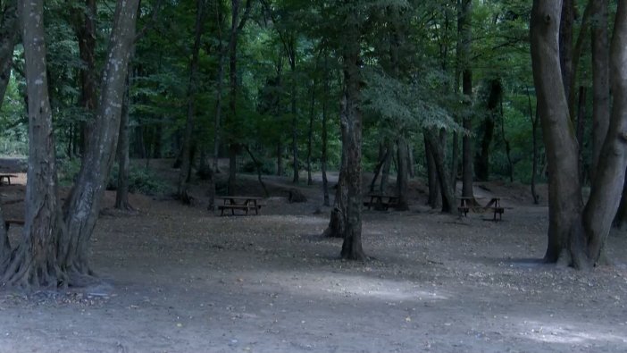 Belgrad ormanı boş kaldı