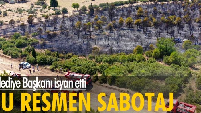 Belediye Başkanı isyan etti! Bu resmen sabotaj