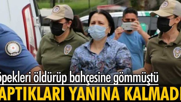 Ankara'da köpekleri öldürüp bahçesine gömmüştü! Yaptıkları yanına kalmadı