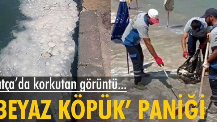 Datça'da korkutan görüntü... 'Beyaz köpük' paniği