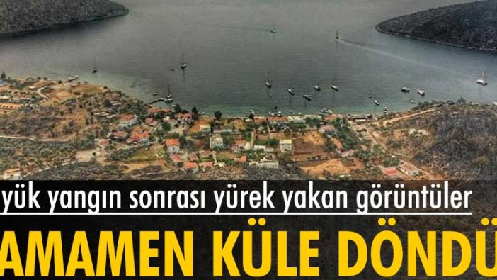 Muğla'daki büyük yangın sonrası yürek yakan görüntüler