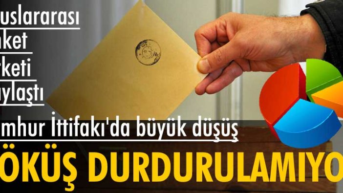 Uluslararası anket şirketi paylaştı: Çöküş durdurulamıyor