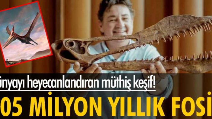 Avustralya'da 105 milyon yıllık teruzor fosili bulundu