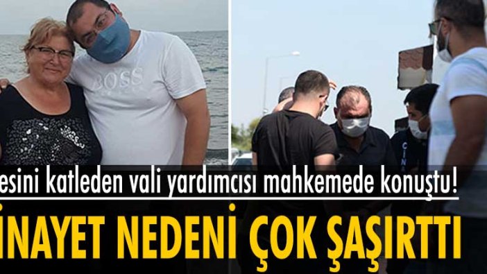 Adana'da annesi ve kardeşini öldüren Hatay Vali Yardımcısı Tolga Polat mahkemede konuştu