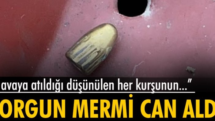 Fındık bahçesinde başına 'yorgun mermi' isabet eden Emir, öldü