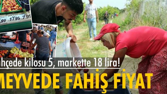 Bahçede kilosu 5, markette 18 lira! Şeftali ve nektarinde fahiş fiyat