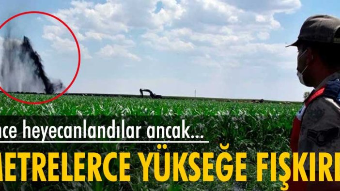 Önce heyecanlandılar ancak metrelerce yükseğe fışkırdı