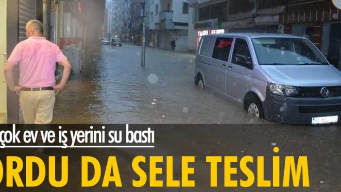 Ordu'da sele teslim... Birçok ev ve iş yerini su bastı