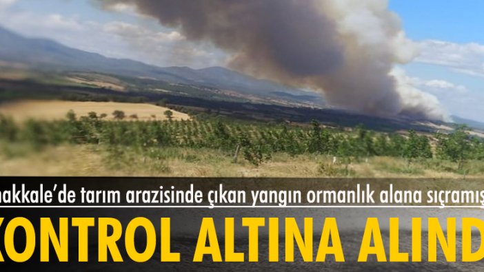 Çanakkale'de ormanlık alandaki yangın kontrol altına alındı