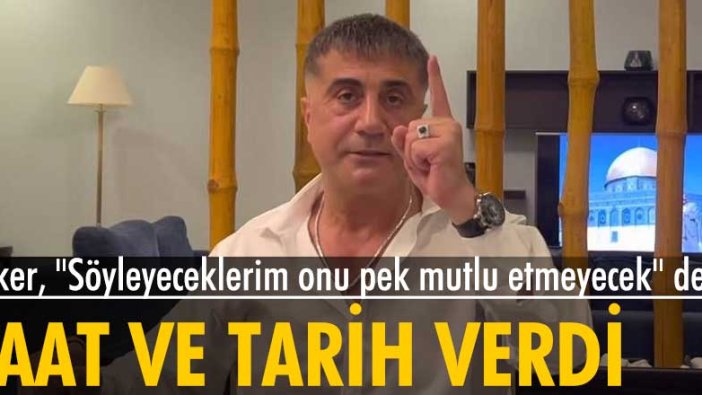 Sedat Peker, 