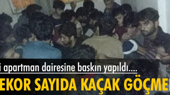 İki apartman dairesinde rekor sayıda göçmen yakalandı