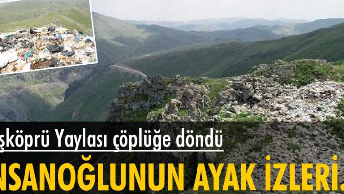 Gümüşhane sınırlarında bulunan Taşköprü Yaylası çöplüğe döndü