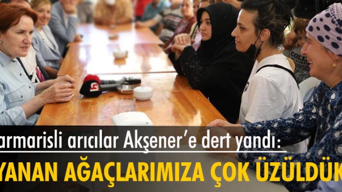 Marmarisli arıcılar Akşener’e dert yandı: Bizi evlerimizden çok yanan ağaçlarımız üzdü