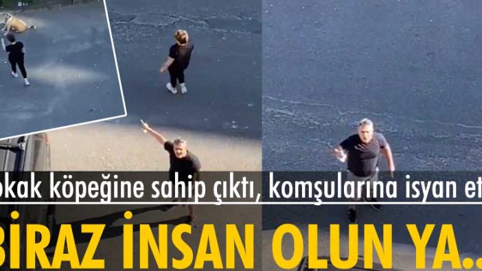 'Daire 16' sosyal medyada gündem oldu! Sokak köpeğine sahip çıktı, komşularına isyan etti