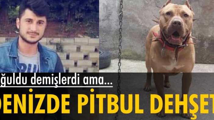 Pendik'te yaşayan Oğuzhan Doğan'ın pitbul cinsi köpek saldırısı nedeniyle denizde boğulduğu iddia edildi