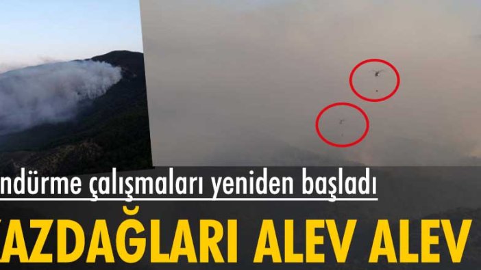 Kazdağlarındaki yangın devam ediyor, söndürme çalışmaları yeniden başladı