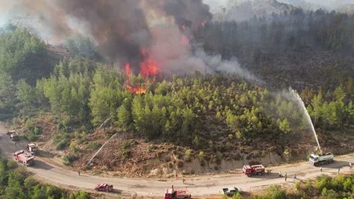 Manavgat yangınında ölü sayısı artıyor