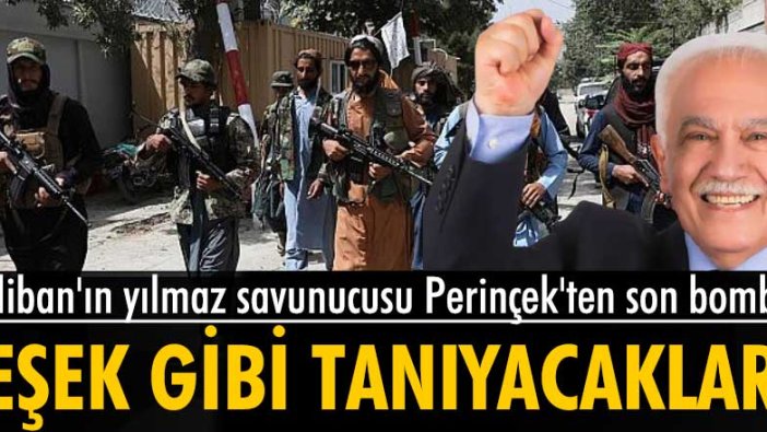 Doğu Perinçek: Taliban'ı eşek gibi tanıyacaklar