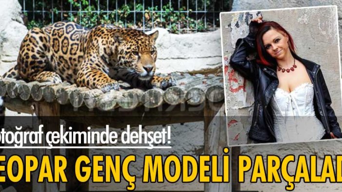 Fotoğraf çekiminde dehşet anları! Leopar genç modeli parçaladı