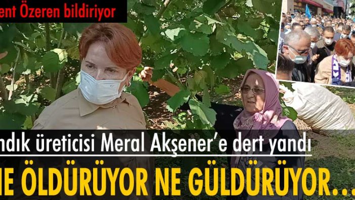 Ordu'da fındık üreticileri Meral Akşener'e dert yandı