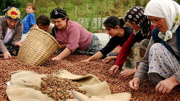 Güncel fındık fiyatları belli oldu