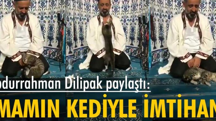 Abdurrahman Dilipak paylaştı: İmamın kediyle imtihanı