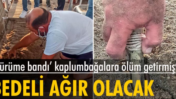 Belek'te caretta caretta kaplumbağalarının hayatlarıyla aralarına yürüme bandı koymuşlardı. Bedeli ağır olacak!