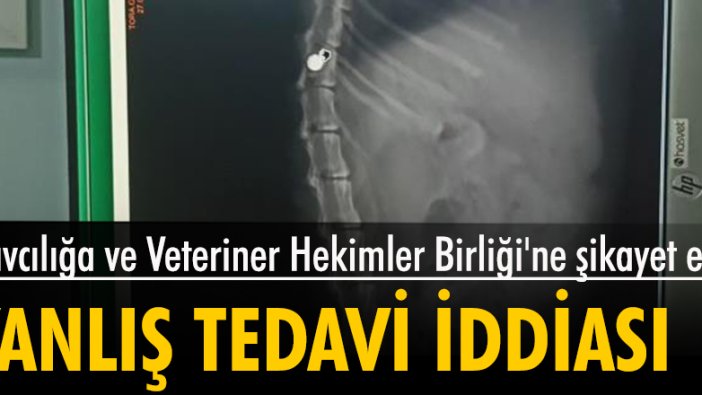 Veterinerde kediye yanlış tedavi uygulandı iddiası